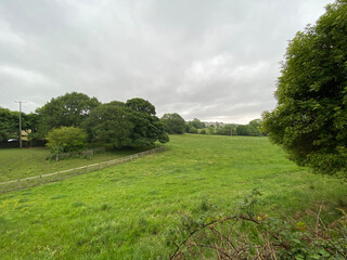 Landscape with fields, trees and bushes in, Allerton, Bradford, UK