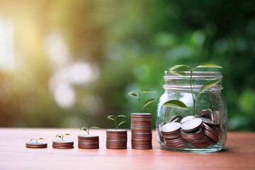 Increase trend graph of coins stacking with tree growth on greenery background. Dividend and profit from saving and investment concept.