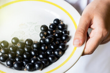 Girl in white apron keeps vintage plate with black currants,  berry fruits in a cuisine, gardening and healthy food concept