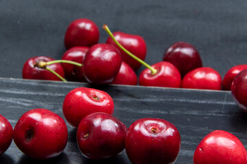 Frisch gepflückte rote Kirschen vor schwarzem Hintergrund als Studioaufnahme.