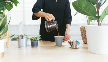 An ordinary woman making drip coffee and transplants tree at her home. Concept of New Normal and...
