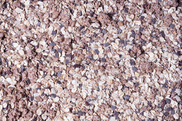 oatmeal with chocolate and dried fruit