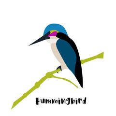 Flat vector icon of sitting hummingbird. Colibri with colorful feathers and long thin beak. Wildlife and fauna theme