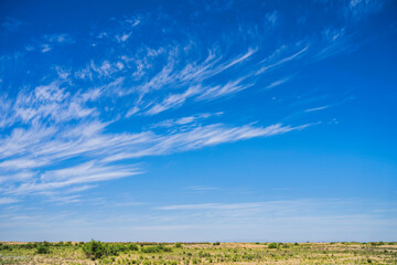 Clouds in the sky. White cirrus clouds on a blue sky. Clouds in motion. Summer blue sky. Clouds in perspective. Going to the horizon