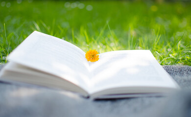 Open book and flowers for a good rest