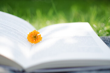 Open book and flowers for a good rest