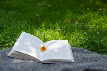 Open book and flowers for a good rest