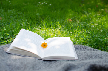 Open book and flowers for a good rest