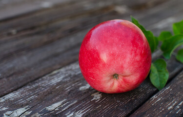 Fototapeta na wymiar Beautiful juicy apples for juice on a hot summer day