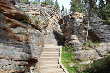 Stone Path, Jasper National Park, Alberta