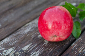 Beautiful juicy apples for juice on a hot summer day