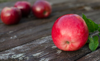 Beautiful juicy apples for juice on a hot summer day