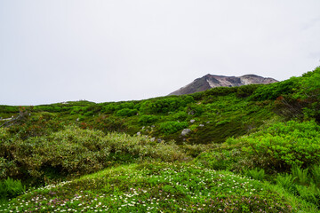 Fototapeta premium Landscape around Mount Asahidake during summer season in Daisetsuzan National Park, Hokkaido, Japan.