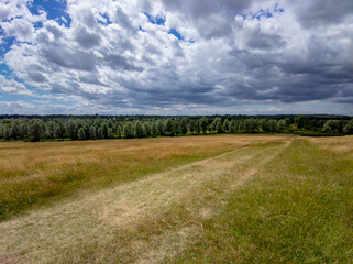 road in the field