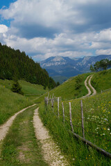 Fototapeta na wymiar rural road in the mountains in the summer