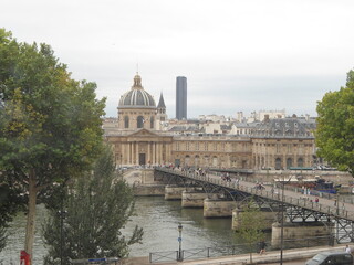 Fototapeta na wymiar Brigde in Paris near at Tour Eiffel , France 2011
