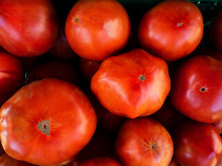 DELICIOUS FRESH SUMMER SEASON TOMATOES