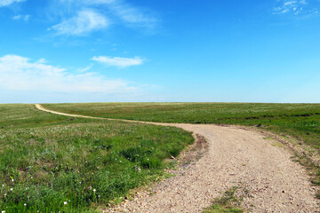 a winding farm dirt road leading through a livestock pasture curving into the distance on a bright sunny day
