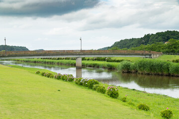 初夏の栗山川と田園風景　千葉県多古町　日本