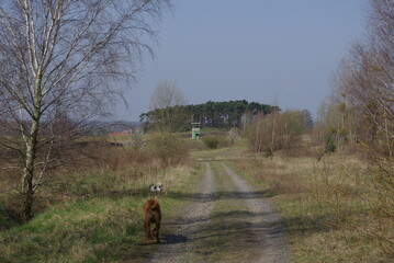 Windkraftpark auf einem alten Militärgelände in Brandenburg