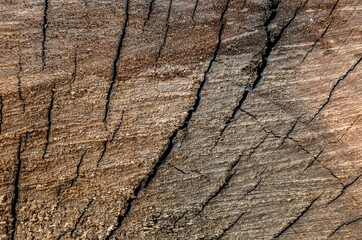 wooden texture background