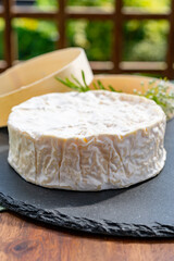 French cheeses collection, piece of matured camembert cow milk cheese with white mold