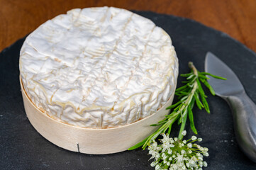 French cheeses collection, piece of matured camembert cow milk cheese with white mold