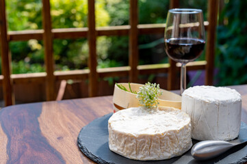 French cheeses collection, pieces of camembert and Le Bleu cow milk blue cheese with white mold and glass of red wine, pairing food and drink