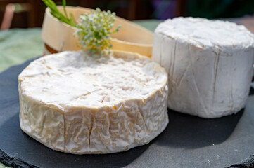 French cheeses collection, pieces of camembert and Le Bleu cow milk blue cheese with white mold.