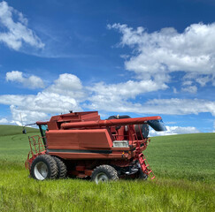Red harvesting tractor in wheat field with blue sky and puffy clouds in background