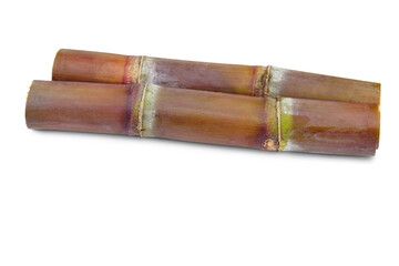  Fresh sugar cane cut into slices before it is squeezed into sugar isolated on white background.This has clipping path.     