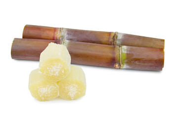 Fresh sugar cane cut into slices before it is squeezed into sugar isolated on white background.This has clipping path.     
