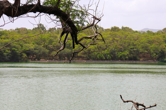 Beautiful landscape of the Katraj Snake Park lake surrounded by mangrove tree forest in Pune.