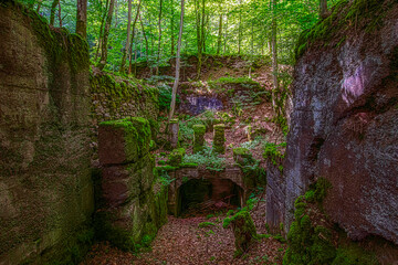 verlassener Steinbruch mitten im grünen Wald