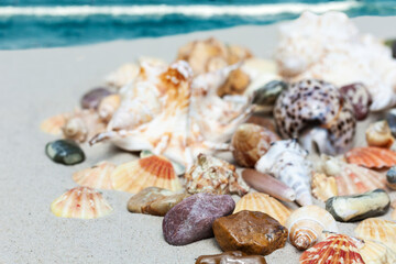 Seashells, sea stars, coral and stones on the sand, summer beach sea background travel concept.