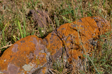 stone high in the mountains covered with moss