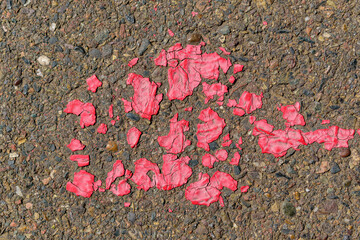 Pieces of red paint on pavement for a backdrop.