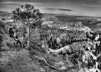 Bryce Canyon, Utah in black and white