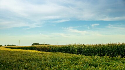 Time lapse of a moonrise over a corn field.