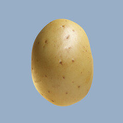 Perfect potato isolated on colorful background.