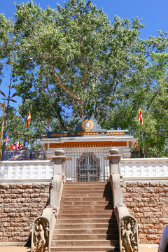jaya sri maha bodhiya sri lanka