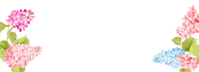 Botanical elements design template. Panoramic simple design with frame flowers. Herbal vector frame