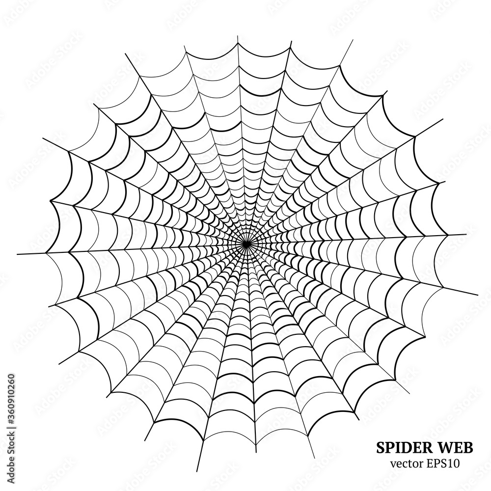 Wall mural Simple spider web