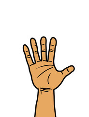 Raised Hand Isolated