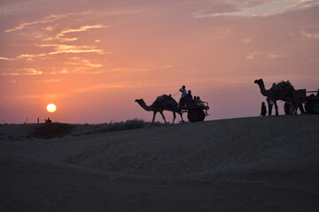 desert safari at jaisalmer sam dunes in a sunset time
