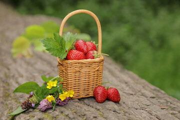 basket with strawberries on a background of nature