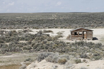 An old pioneer cabin in the Great Divide Basin of Wyoming