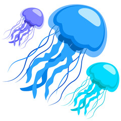 Jellyfish, the underwater world. Stylized jellyfish on a white