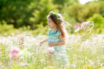 Cute little girl with a wreath on her head walks in a field and catches butterflies net