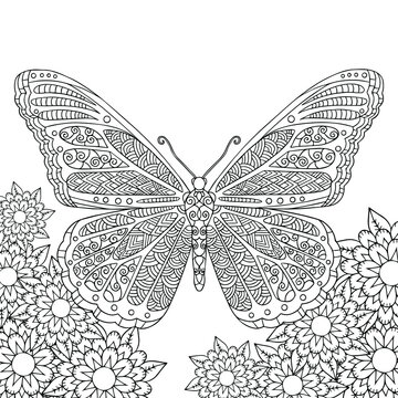 Butterfly vector illustration. Summer. Graphic nature. Coloring page. Butterfly is among the flowers. Outline line art with doodle and zentagle elements. Isolated on white.